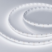 светодиодная лента rt 2-5000 24 v white6000 10 mm (2835, 252 led/m, lux)
