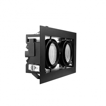 TLЕ - Graziozo Next 2x39W/для МЯСА 45° black 1.05A , светодиодный карданный светильник