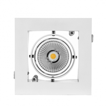 TLЕ - Graziozo Next 39W/для МЯСА 45° white 1.05A , светодиодный карданный светильник