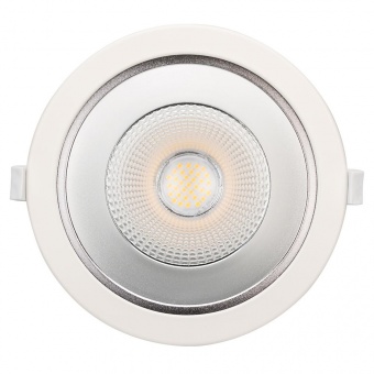 светильник ltd-legend-r175-20w white6000 (wh, 50 deg)