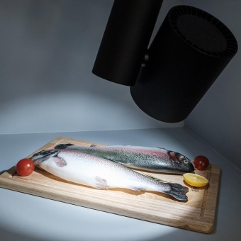 светильник lgd-shop-4tr-r100-40w cool sp7500-fish (bk, 24 deg)