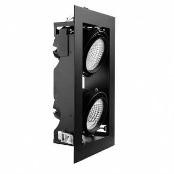 TLЕ - Graziozo Next 2x39W/для ФРУКТОВ 45° black 1.05A, светодиодный карданный светильник