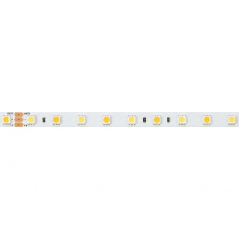 светодиодная лента rt 6-5000 24 v white-mix 2x (5060, 60 led/m, lux)